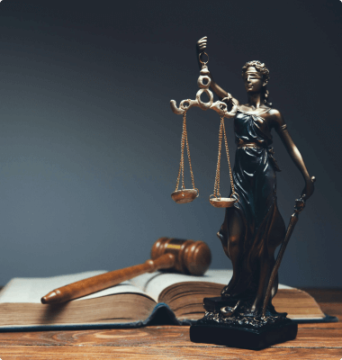 Robustlex-n Feature Image